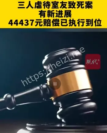 室友虐待致死案